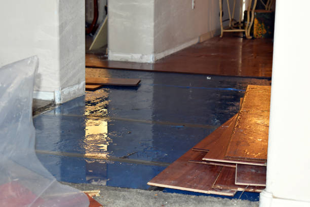 Professional Sewage Cleanup technician working in Tyndall, SD